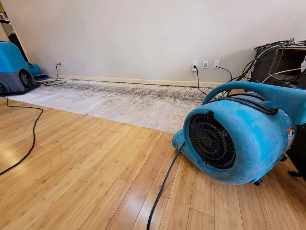 Professional Water Damage Repair technician working in Everson, WA